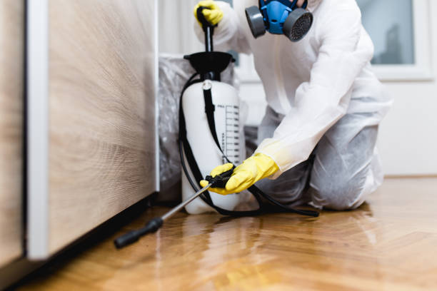 Best Pest Control Treatment  in Culpeper, VA