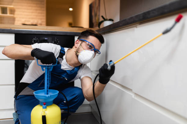 Best Rat Extermination Near Me  in Culpeper, VA