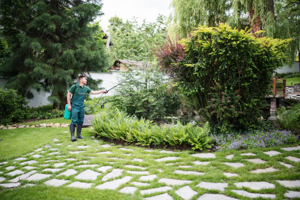 Best Affordable Pest Control Services  in Culpeper, VA