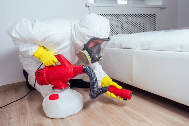 Best Best Pest Control Companies  in Culpeper, VA