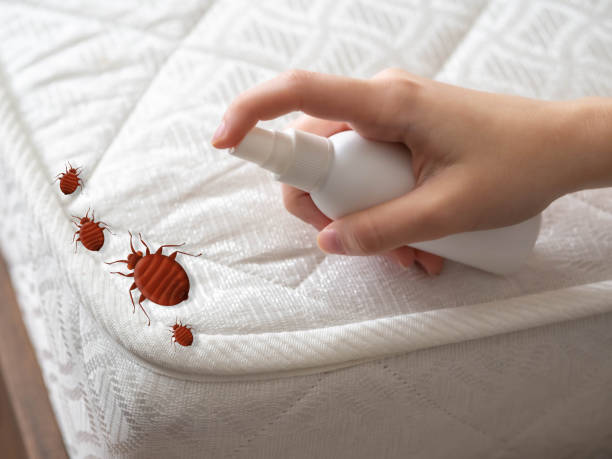 Best Pest Inspection Near Me  in Culpeper, VA