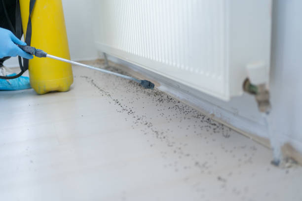 Best Pest Control for Businesses  in Culpeper, VA